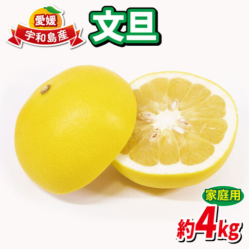 農園直送 ハマみかん 文旦 4kg 家庭用 文旦 B010-075003