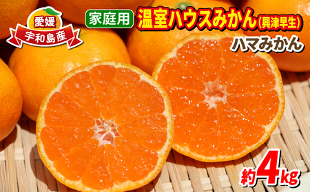 温室みかん 4kg 家庭用 ハマみかん 先行予約 温室 B025-075007