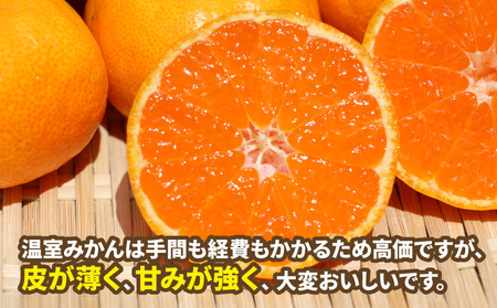 温室みかん 4kg 家庭用 ハマみかん 先行予約 温室 B025-075007