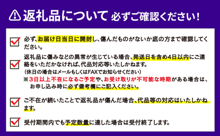 温室みかん 4kg 家庭用 ハマみかん 先行予約 温室 B025-075007