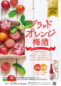 梅酒 ブラッドオレンジ梅酒 720ml 化粧箱入り 名門サカイ I010-085001