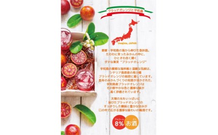 梅酒 ブラッドオレンジ梅酒 720ml 化粧箱入り 名門サカイ I010-085001