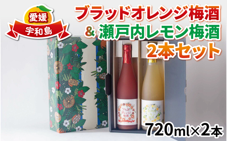 ＼10営業日以内発送／ 梅酒 飲み比べ ブラッドオレンジ梅酒 瀬戸内レモン梅酒 各1本 全国梅酒品評会2021金賞受賞 名門サカイ 瀬戸内 レモン 檸檬 ブラッド オレンジ 梅 うめしゅ セット 果実酒 柑橘 飲料 お酒 アルコール リキュール フルーツ 果物 国産 愛媛 宇和島 I018-085003