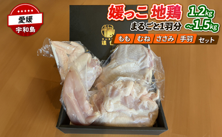 国産地鶏 地鶏 媛っこ地鶏 1羽分 1.2～1.5kg 寒山鳥聲 鶏舎 鳥 tori 鳥肉 鶏肉 鶏 とり肉 地鶏り お肉 肉 niku にく とりにく もも肉 鶏もも 胸肉 ムネ肉 ささ身 手羽 食べ比べ 冷凍 産地直送 数量限定 特産品 国産 愛媛 宇和島 E018-089004