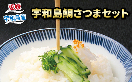 郷土料理 鯛 さつま セット 140g×4 和日輔 郷土料理 D010-091001