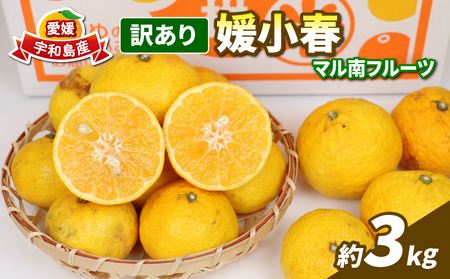残りわずか‼♥️愛媛県産♥️媛小春♥️箱込み約4.5キロ 愛媛県産 媛小春（ひめこはる）