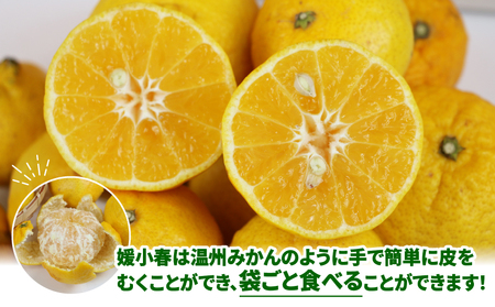 きいろ　おまとめ割引　プリンセス2キロ媛小春3キロ 媛小春（ひめこはる） 約3kg | のま果樹園