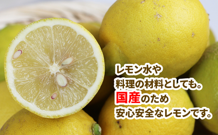 訳あり レモン(リスボン) 2kg 特別栽培 発送期間10月末～1月