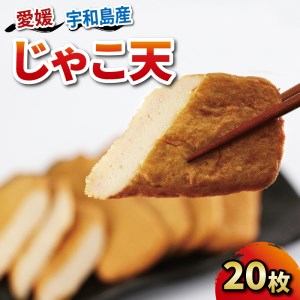 じゃこ天 20枚 中村かまぼこ店 郷土料理 郷土料理 C012-013003