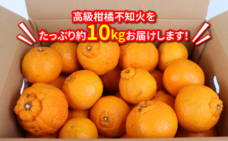 訳あり 不知火 10kg マル南フルーツ 先行予約 果物 くだもの わけあり 訳あり品 フルーツ 柑橘 蜜柑 みかん 不知火みかん mikan ミカン グルメ お取り寄せ 訳アリ 訳あり品 デザート ビタミン 愛媛県産 愛媛みかん 愛媛ミカン 愛媛蜜柑 数量限定 国産 愛媛 宇和島 B010-106022