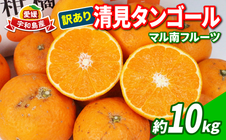 愛媛みかん 訳あり 清見タンゴール 10kg マル南フルーツ 先行予約 わけあり タンゴール オレンジ きよみ 清見オレンジ 清見みかん 清見蜜柑 清見 愛媛ミカン 愛媛蜜柑 蜜柑 みかん mikan 果物 くだもの フルーツ 柑橘 数量限定 国産 愛媛 宇和島 B010-106024