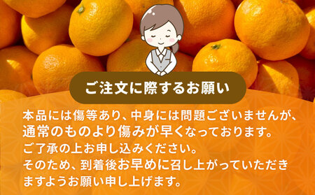 愛媛みかん 訳あり 清見タンゴール 10kg マル南フルーツ 先行予約 わけあり タンゴール オレンジ きよみ 清見オレンジ 清見みかん 清見蜜柑 清見 愛媛ミカン 愛媛蜜柑 蜜柑 みかん mikan 果物 くだもの フルーツ 柑橘 数量限定 国産 愛媛 宇和島 B010-106024