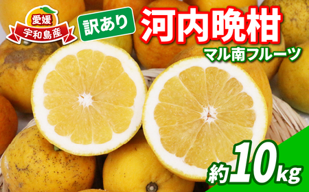 訳あり 河内晩柑 10kg 訳あり 河内晩柑 マル南フルーツ 訳あり 河内晩柑 訳あり 河内晩柑 B010-106025