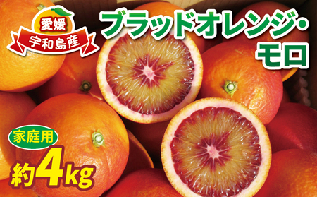 愛媛県産 ブラッドオレンジ 柑橘 15kg - フルーツ