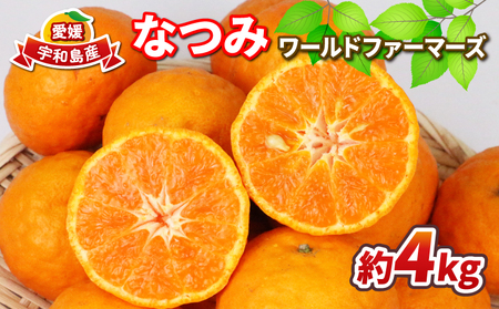 【家庭用】なつみ4kgWF柑橘 柑橘 B012-024013