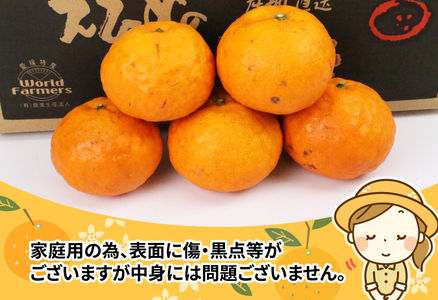 【家庭用】なつみ4kgWF柑橘 柑橘 B012-024013