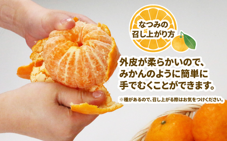 【家庭用】なつみ4kgWF柑橘 柑橘 B012-024013