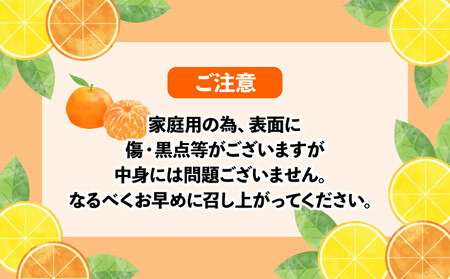 【みかん】いよかん約7.5kgWFみかん|B012-024006