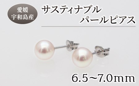 サスティナブルパールピアス 6.5mm 土居真珠 真珠 アクセサリー ピアス パールピアス アコヤ真珠 本真珠 ファッション カジュアル フォーマル 冠婚葬祭 慶事 弔事 結婚式 卒業式 入学式 お祝い ギフト 贈り物 特産品 国産 愛媛 宇和島 真珠 本真珠 パール 真珠 本真珠 パール 真珠 本真珠 パール 真珠 本真珠 パール 真珠 本真珠 パール 真珠 本真珠 パール 真珠 本真珠 パール 真珠 本真珠 パール 真珠 本真珠 パール 真珠 本真珠 パール 真珠 本真珠 パール 真珠 本真珠 パール 真珠 本真珠 パール 真珠 本真珠 パール 真珠 本真珠 パール 真珠 本真珠 パール 真珠 本真珠 パール 真珠 本真珠 パール A018-012018