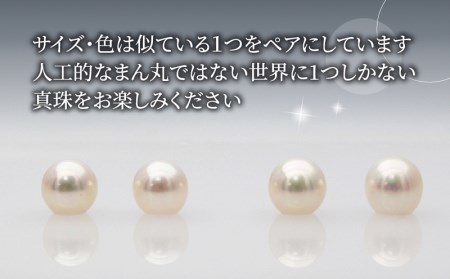 サスティナブルパールピアス 6.5mm 土居真珠 真珠 アクセサリー ピアス パールピアス アコヤ真珠 本真珠 ファッション カジュアル フォーマル 冠婚葬祭 慶事 弔事 結婚式 卒業式 入学式 お祝い ギフト 贈り物 特産品 国産 愛媛 宇和島 真珠 本真珠 パール 真珠 本真珠 パール 真珠 本真珠 パール 真珠 本真珠 パール 真珠 本真珠 パール 真珠 本真珠 パール 真珠 本真珠 パール 真珠 本真珠 パール 真珠 本真珠 パール 真珠 本真珠 パール 真珠 本真珠 パール 真珠 本真珠 パール 真珠 本真珠 パール 真珠 本真珠 パール 真珠 本真珠 パール 真珠 本真珠 パール 真珠 本真珠 パール 真珠 本真珠 パール A018-012018