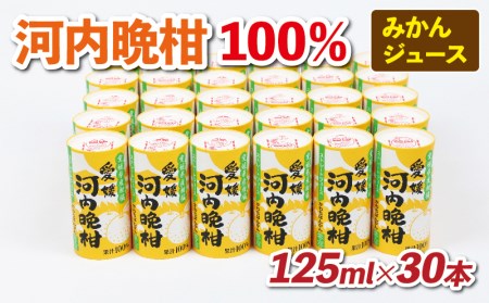 みかん ジュース 河内晩柑 100％ 125ml ×30本 愛工房 みかんジュース 蜜柑 100%ジュース 果汁100% ジュース 果汁 ジュース 飲料 ジュース 柑橘 ジュース 小分け ジュース パック ジュース 長期保存 ジュース 備蓄 ジュース スイーツ ジュース オレンジジュース 果物 ジュース フルーツ ジュース 産地直送 ジュース 国産 ジュース 愛媛 ジュース 宇和島 ジュース H020-034004