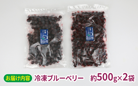 冷凍 ブルーベリー 500g 2袋 計1kg 粒楽 南四国ファーム 冷凍果実 果物