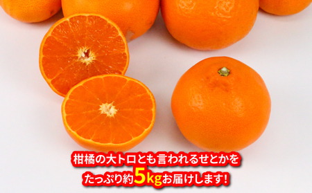 訳あり せとか 5kg 玉津柑橘倶楽部 愛媛みかん 愛媛蜜柑 愛媛ミカン 完熟 高級 大粒 限定 品種 希少 ブランド シャキシャキ 玉津 みかん mikan 予約受付 果物 くだもの フルーツ 柑橘 甘い 甘味 蜜柑 産地直送 数量限定 国産 愛媛 愛媛県産 宇和島 B015-072028