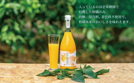 ストレートジュース 愛媛 の 柑橘ジュース 720ml × 2本 セット 温州みかん 壱果樹園 先行予約 みかんジュース みかん 蜜柑 mikan ジュース フルーツジュース 果汁 100% 飲料 柑橘 ギフト 贈答用 果物 くだもの フルーツ 先行予約 国産 愛媛 宇和島 H015-141001