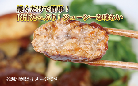 おかず お 肉屋 さんの 手作り ハンバーグ 泉精肉店 おかず E010-142001