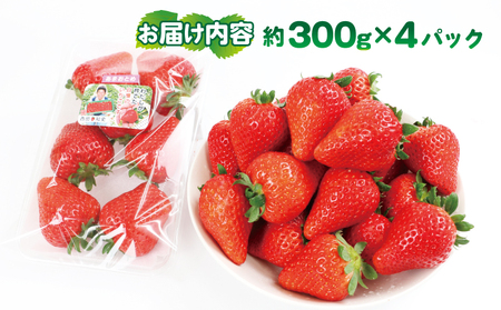 いちご あまおとめ いちご 1.2kg 西田農園 F015-124001