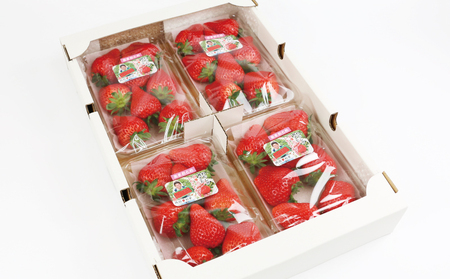 いちご あまおとめ いちご 1.2kg 西田農園 F015-124001