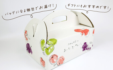 数量限定 大粒 種無し シャインマスカット 約1.2kg 2房 若宮農園 冷蔵便 期間限定 甘い マスカット ますかっと ぶどう ブドウ 葡萄 産地直送 農家直送 高級 人気 果物 くだもの フルーツ 贈答用 プレゼント 国産 愛媛 宇和島 F016-152001