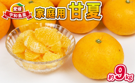 甘夏 9kg 家庭用 誉農園 甘夏 B012-138005