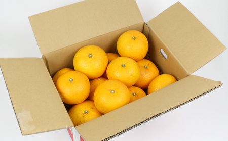 ふるさと納税 和歌山市 ＜4月より発送＞家庭用 甘夏柑9kg+270g(傷み補償分)