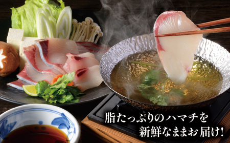 ハマチ セット 計 1kg 愛媛県漁業協同組合遊子支所 ハマチハマチハマチハマチ刺身刺身刺身刺身刺身 D012-022005