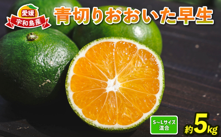 極早生 みかん 5kg コルレオファーム 温州みかん 温州 B010-145002