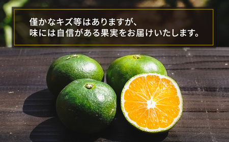 極早生 みかん 5kg コルレオファーム 温州みかん 温州 B010-145002