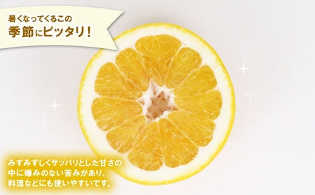 訳あり 河内晩柑 8.5kg 23～26玉 不揃い NBU 不揃い B012-058010