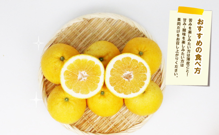 訳あり 河内晩柑 8.5kg 23～26玉 不揃い NBU 不揃い B012-058010