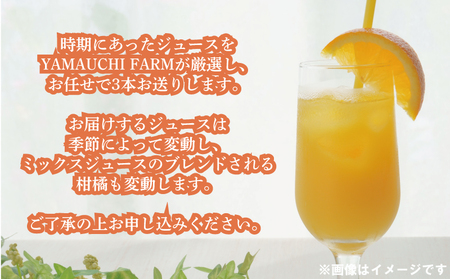 みかんジュース 720ml ×3本 YAMAUCHI FARM 「ミックスジュース」 ストレート ジュース【H018-084002】