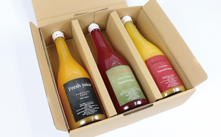 みかんジュース 720ml ×3本 YAMAUCHI FARM 「ミックスジュース」 ストレート ジュース【H018-084002】