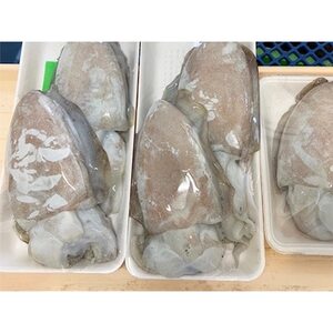 【冷凍便】八幡浜発!竹中水産の「墨イカ(甲いか又はモンゴ)」2kg!お刺身用【F22-221】【配送不可地域：離島】【1043155】