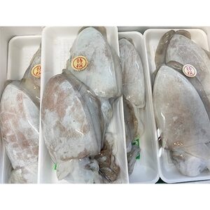 【冷凍便】八幡浜発!竹中水産の「墨イカ(甲いか又はモンゴ)」2kg!お刺身用【F22-221】【配送不可地域：離島】【1043155】