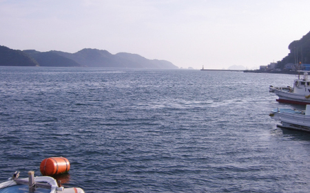 シーフードマイスター厳選 活きサザエ 約1.2kg【C26-9】【配送不可地域:離島・北海道・沖縄県・東北・関東・信越、北陸・東海・九州】【1044330】