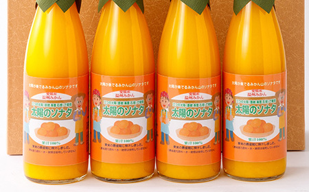 太陽のソナタ(4本入り)【D12-1】【1044588】