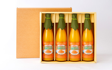 太陽のソナタ(4本入り)【D12-1】【1044588】