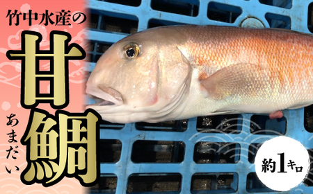 竹中水産の「甘鯛」(赤又は白)約1キロ【F22-260】【配送不可地域：離島・北海道・沖縄県】【1075512】