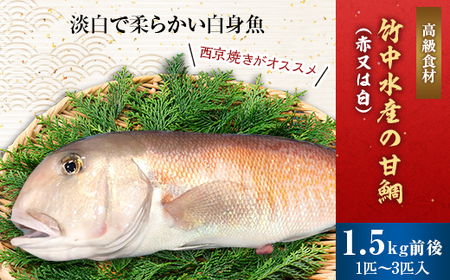 竹中水産の「甘鯛(赤又は白)1.5キロ前後」【H22-261】【配送不可地域：離島・北海道・沖縄県】【1075513】