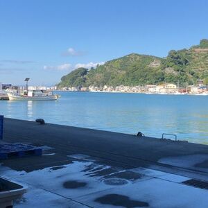 竹中水産の「鯖の天日干し」脂のある大き目を5~6匹ご用意!【C22-265】【配送不可地域:離島】【1078741】