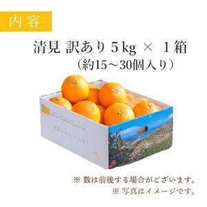 【2026年4月上旬出荷】果汁たっぷり ジューシー清見5kg(訳あり)【D25-138】【1138006】
